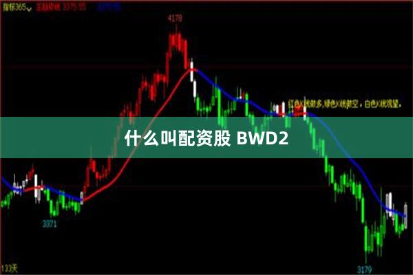 什么叫配资股 BWD2