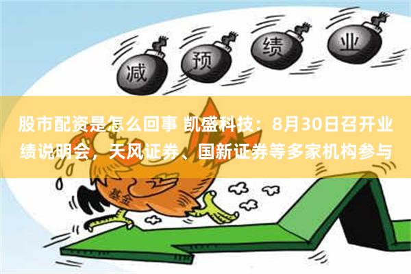 股市配资是怎么回事 凯盛科技：8月30日召开业绩说明会，天风证券、国新证券等多家机构参与