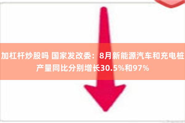 加杠杆炒股吗 国家发改委：8月新能源汽车和充电桩产量同比分别增长30.5%和97%