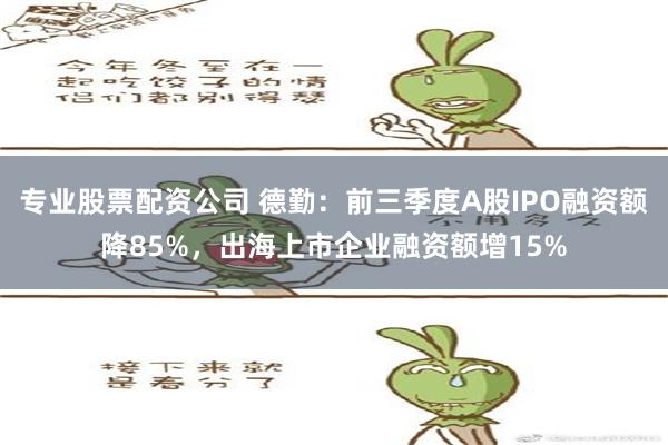 专业股票配资公司 德勤：前三季度A股IPO融资额降85%，出海上市企业融资额增15%