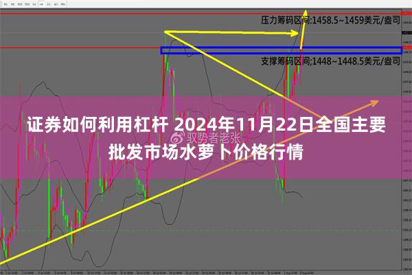 证券如何利用杠杆 2024年11月22日全国主要批发市场水萝卜价格行情