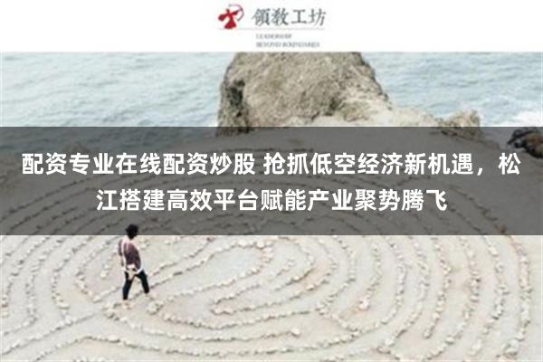 配资专业在线配资炒股 抢抓低空经济新机遇，松江搭建高效平台赋能产业聚势腾飞